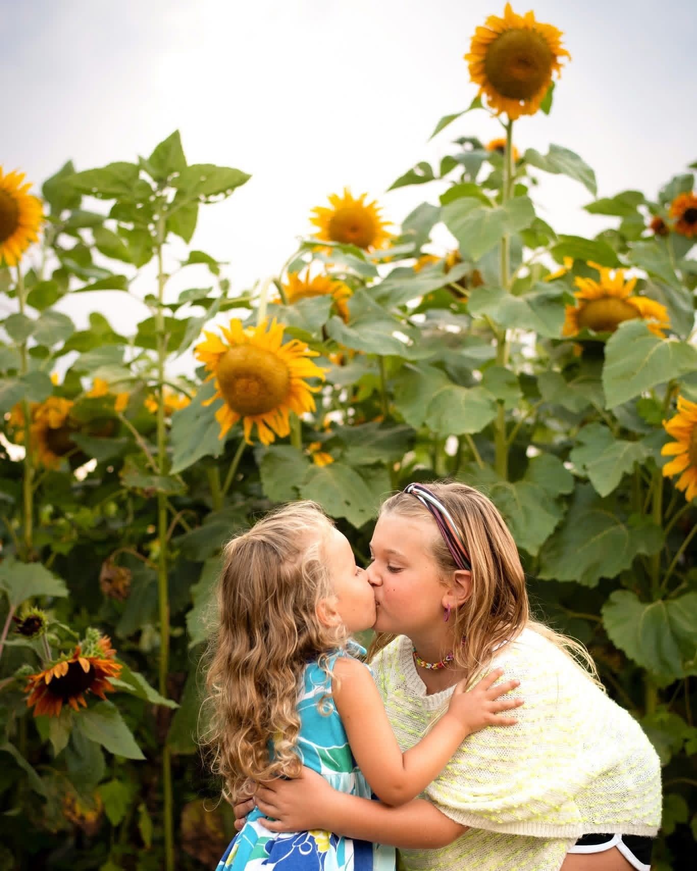 Two children kissing in front of a field of tall sunflowers.